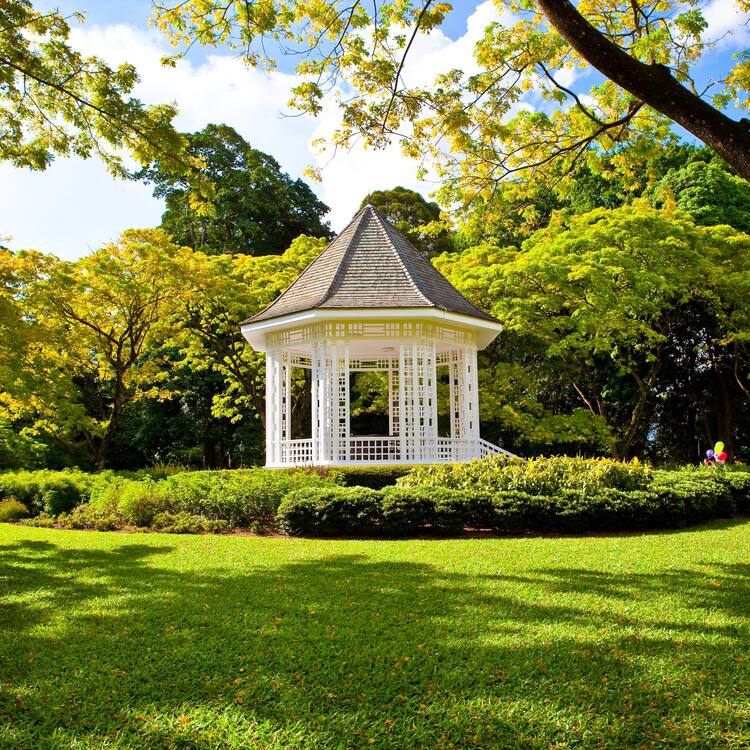 Singapore Botanic Gardens - 48 Hours in Singapore